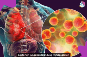 bakterien lungenentzündung mykoplasmen